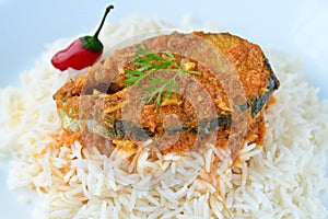 Fish Curry and rice photo