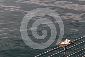 Fish cutting platform on the railing of a pier with towel and knives, calm sea, copy space