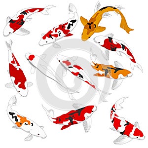 Fish design elements