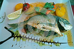 Fish dish Dorada Sparus aurata with various vegetables