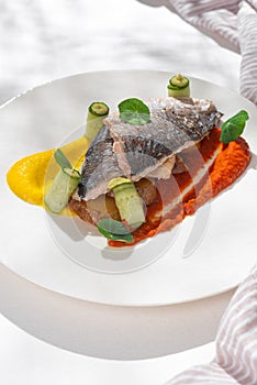 Fish dish - Dorado with rainbow creams. dorado fillet with garnish, greens and lemon on ceramic plate on white