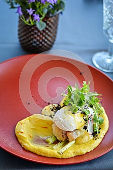 Fish dish with puree on red plate in restaurant.