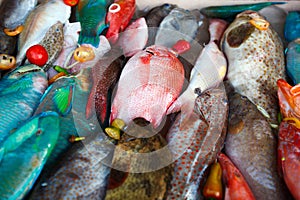 Fish on dislay at fishmarket photo