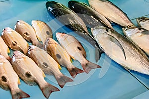 Fish display in fish market in Thailand