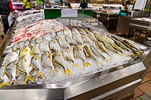 Fish displayed on ice at Supermarket seafood aisle