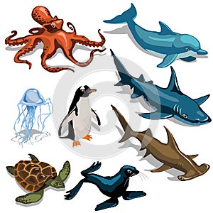 Fish, Dolphin, seal and other members of deep sea