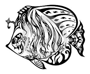 Fish in doodling style photo