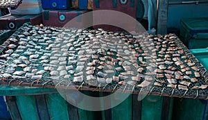 Fish Dried on the fishing net on the street in Asia