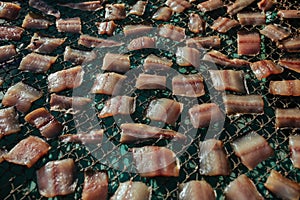 Fish Dried on the fishing net on the street in Asia