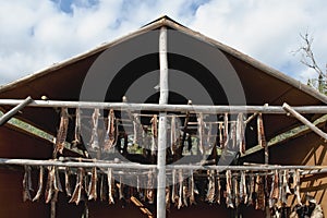 Fish drying outdoors