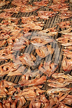 Fish drying on the street in asia