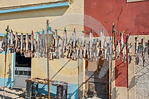 Fish drying on a street. Peniche. Portugal