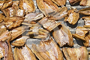 Fish drying in sun thailand