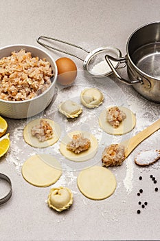 Fish dumplings. Ingredients for home cooking. Fresh dough, fish, spices, cooking equipment