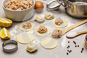 Fish dumplings. Ingredients for home cooking. Fresh dough, fish, spices, cooking equipment