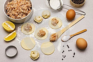 Fish dumplings. Ingredients for home cooking. Fresh dough, fish, spices, cooking equipment