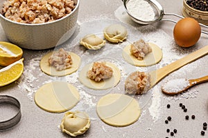 Fish dumplings. Ingredients for home cooking. Fresh dough, fish, spices, cooking equipment