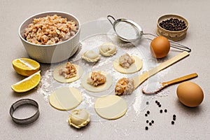 Fish dumplings. Ingredients for home cooking. Fresh dough, fish, spices, cooking equipment