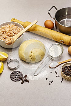 Fish dumplings. Ingredients for home cooking. Fresh dough, fish, spices, cooking equipment. Stone concrete background