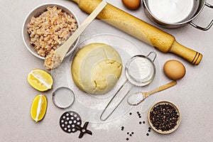 Fish dumplings. Ingredients for home cooking. Fresh dough, fish, spices, cooking equipment. Stone concrete background