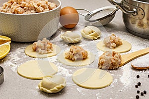 Fish dumplings. Ingredients for home cooking. Fresh dough, fish, spices, cooking equipment. Stone concrete background