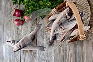 Fish european bass Dicentrarchus labrax on a wooden table