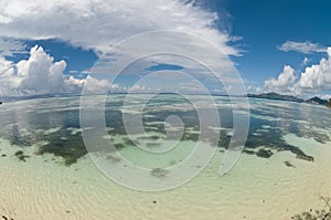 Fish-eye view of reef on seychelles