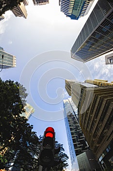 Fish-eye View of the Singapore Skyline