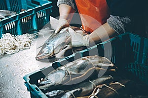 Fish factory process