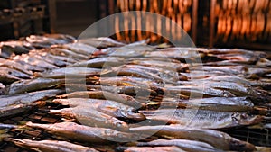 Fish factory production