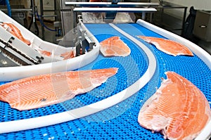 Fish factory salmon production photo