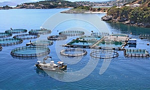 Fish farm