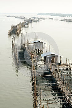 Fish Farm