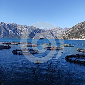 Fish farm in the Bay of Boka Kotorska, Montenegro