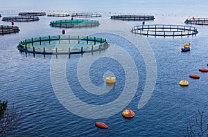 Fish farm in the Bay of Kotor.
