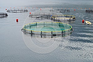 Fish farm in the bay of Kotor, Montenegro