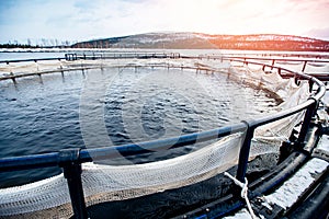 Fish farm for breeding for rainbow trout and salmon fry in net cages. Concept aquaculture pisciculture