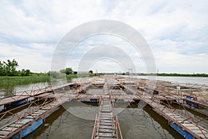 Fish farm for breeding sturgeon. Outdoors farm for industrial breeding sturgeon fish