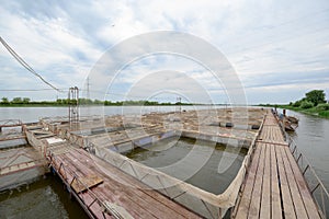 Fish farm for breeding sturgeon. Outdoors farm for industrial breeding sturgeon fish