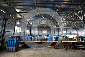 Fish farm for breeding sturgeon.Pool for breeding sturgeon fish