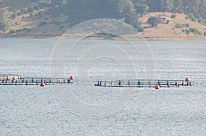 Fish farm in Bulgaria