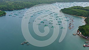 Fish farm with cages for fish and shrimp, top view. Fish cage for tilapia, milkfish farming aquaculture and pisciculture