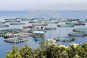Fish farm with cages floating in the greek sea