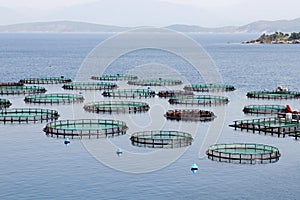 Fish farm with cages floating in the greek sea