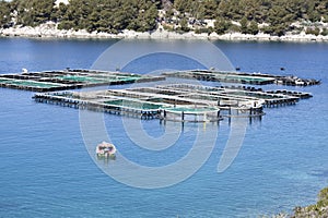 Fish farm with cages and small boat