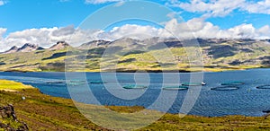 Fish farm close to Djupivogur town in Eastern Iceland as a part of Berufjordur fjord landscape photo