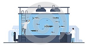 Fish farm concept. Seafood aquaculture, valuable breeds artificial breeding and cultivation, eco systems, care and