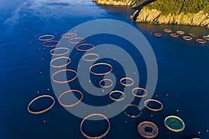 Flotante jaulas en grecia 