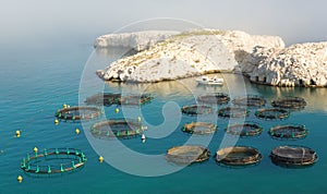 Fish farm on Frioul island near Marseille