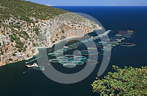 Fish farm, Greece